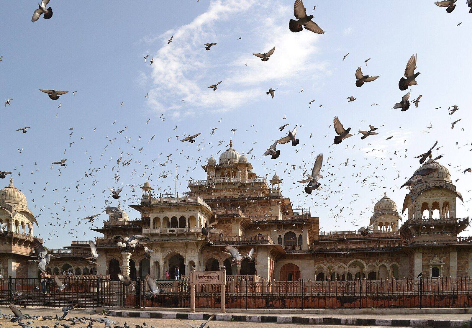 Ajay Shekhawat - Jaipur Tourist Guide